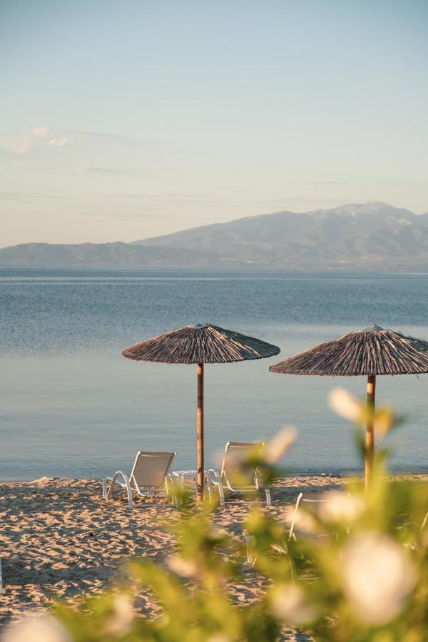 Calma Beach Hotel ستافروس المظهر الخارجي الصورة
